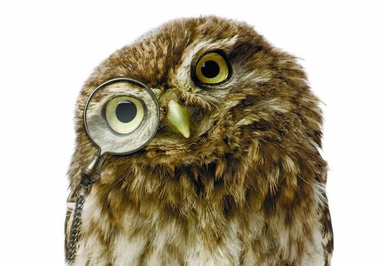 Luca Pacioli Középiskolás Verseny országos döntő