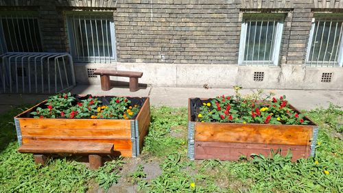 20260619_102520.jpg